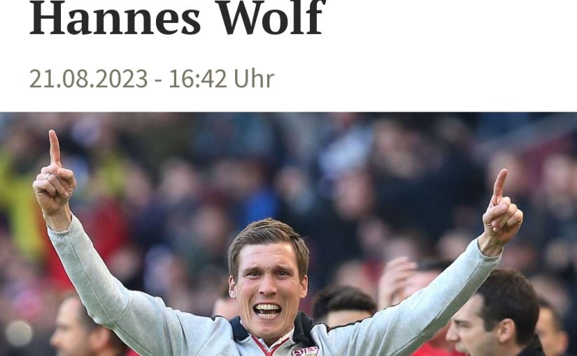 DFB-Nachwuchsplanung: Etwas muss sich im Juniorenfußball grundlegend ändern: Etwa mit Hannes Wolf?
